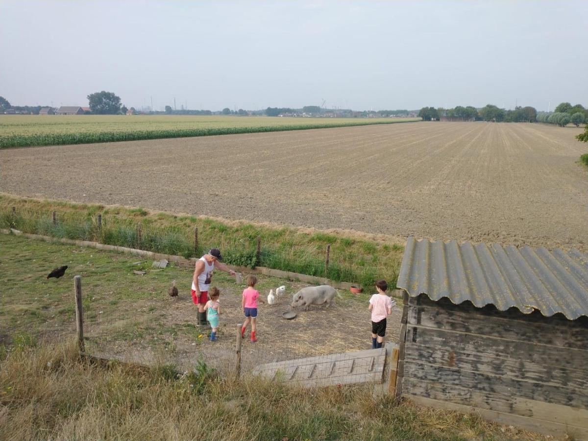 Bie Oans Oefje Villa Lewedorp Luaran gambar
