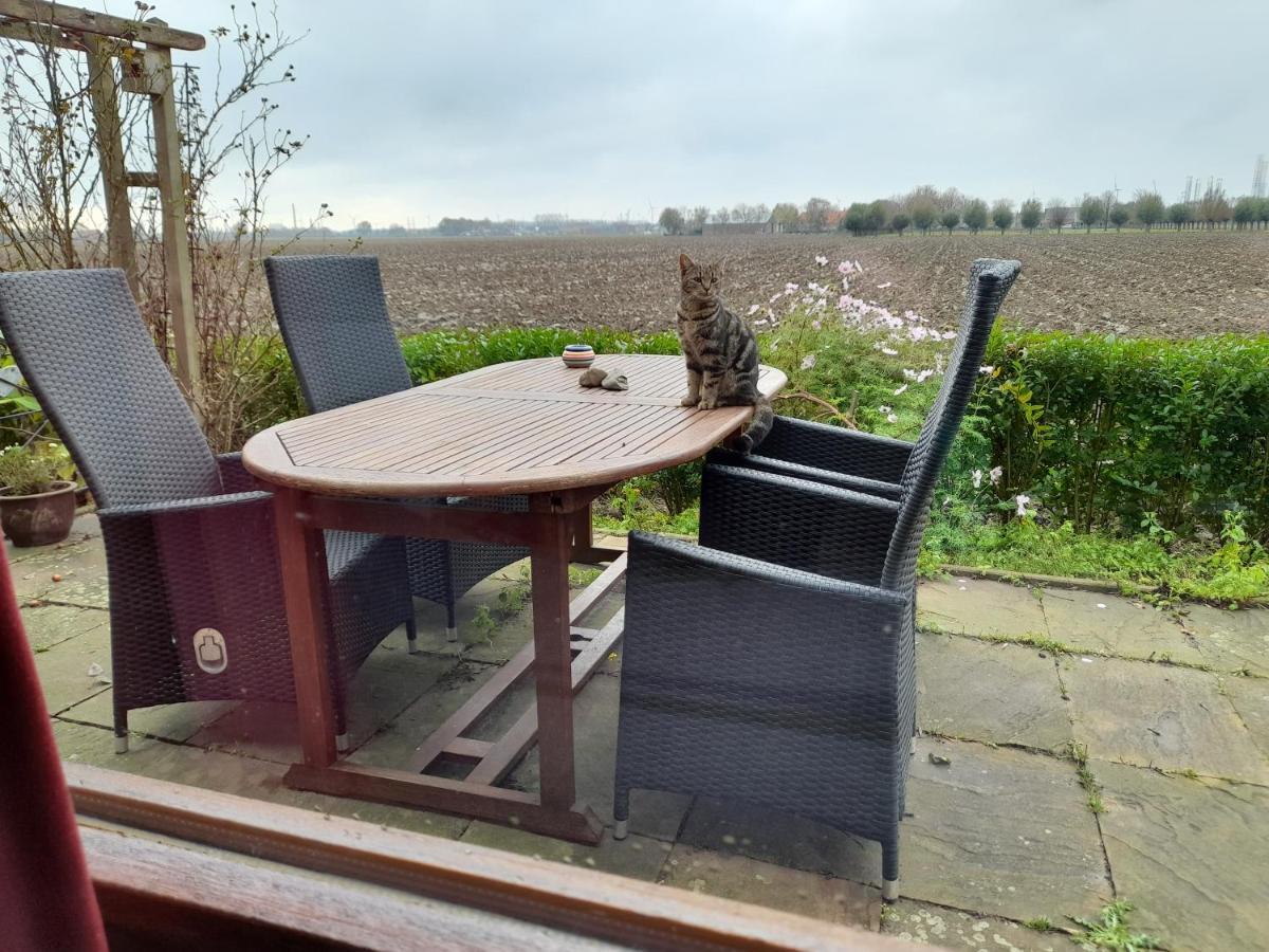 Bie Oans Oefje Villa Lewedorp Luaran gambar
