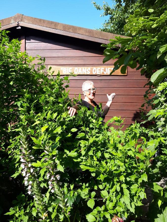 Bie Oans Oefje Villa Lewedorp Luaran gambar