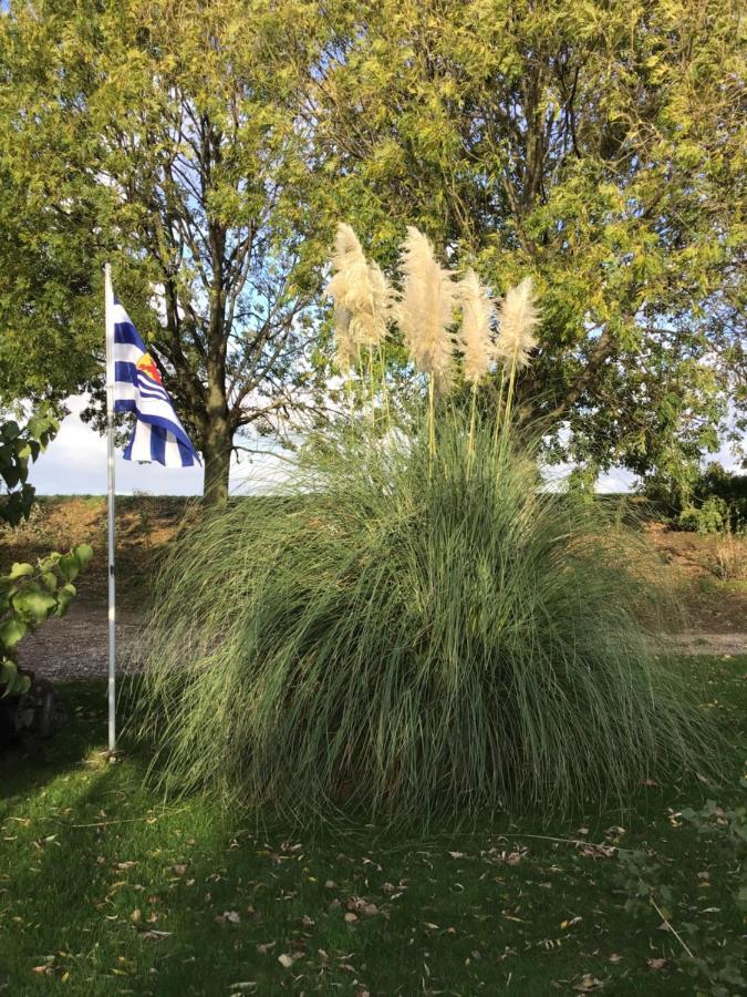 Bie Oans Oefje Villa Lewedorp Luaran gambar