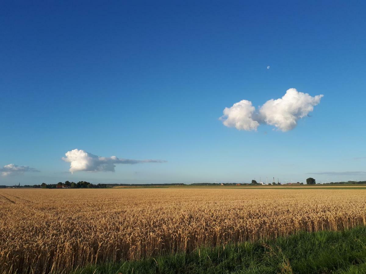 Bie Oans Oefje Villa Lewedorp Luaran gambar